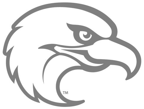 CC Academic Thunderbird graphic