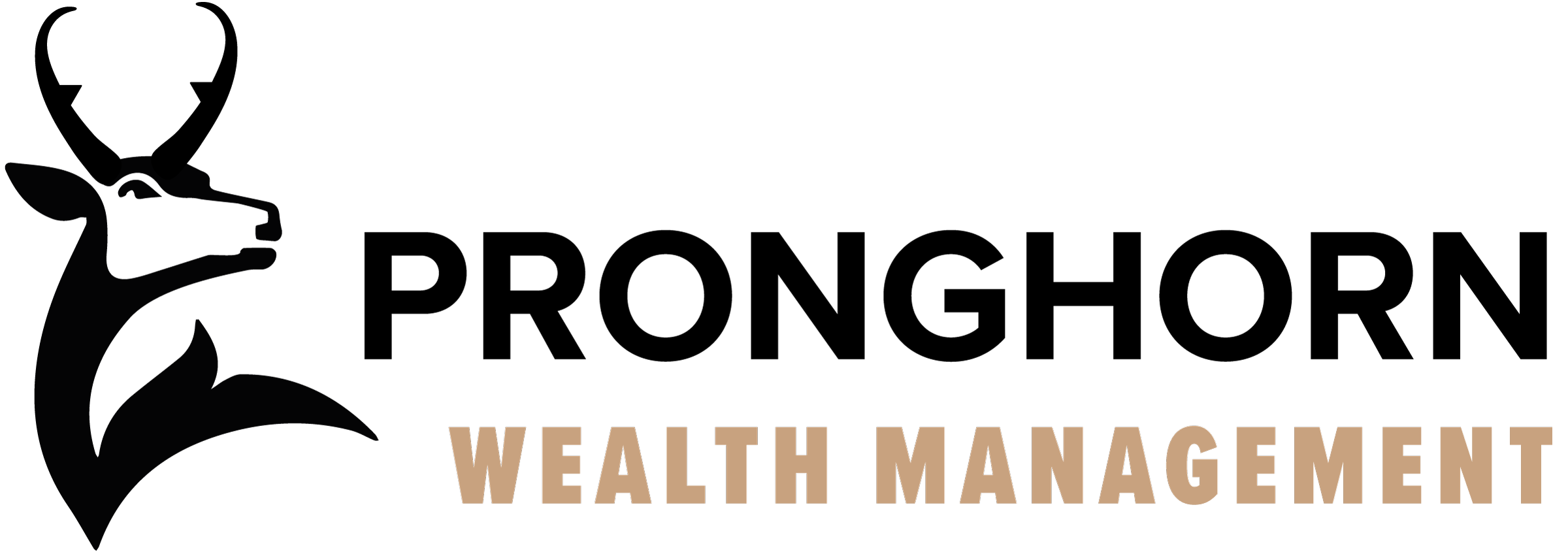 Pronghorn-Wealth-Management-Logo-Full-No-Tagline