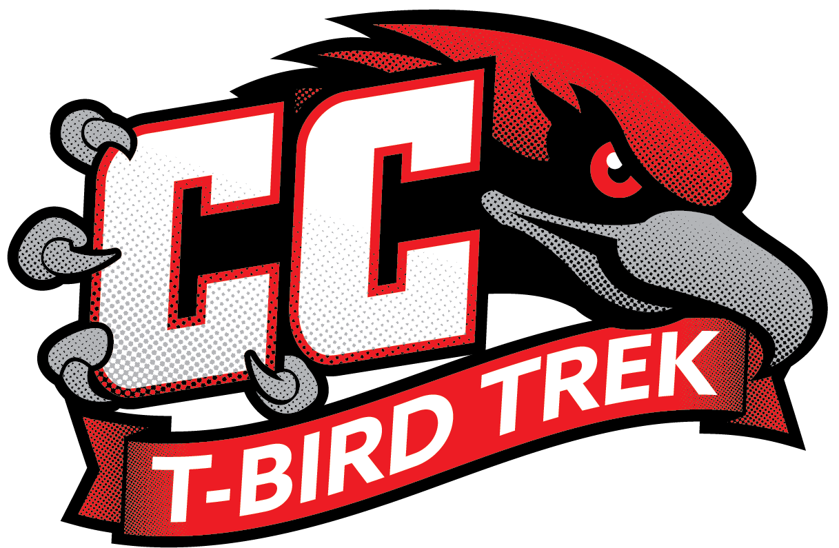 CC Foundation Trek Logo 2025 (1)